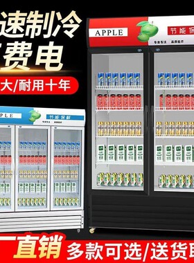 冷藏展示柜饮料柜商用保鲜柜立式双门啤酒冰柜冰箱饭店超市酒水柜