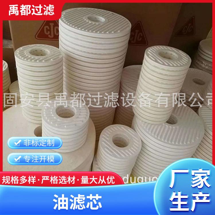 替代油滤芯CJC滤芯N15DM010x3离线滤油机碟片式油滤芯