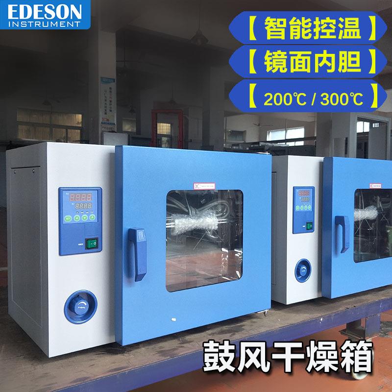 DHG-9013AS电热恒温鼓风干燥箱200℃250℃300℃