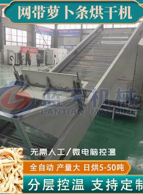 网带萝卜条烘干机 全自动萝卜丝萝卜块烘干设备 连续式蔬菜风干机