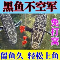 野外爆護(hù)必有口魚餌餌料黑魚鯉魚餌料野釣魚食全能香腥餌鯽魚餌料