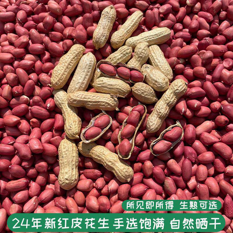 2024新货红皮小花生带壳农家自种四粒红花生红衣花生米花生仁带壳