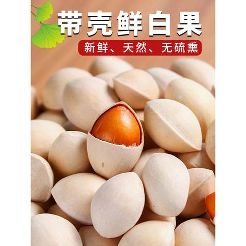 2024年新鲜白果子银杏果生百果仁无漂白带壳白果邳州特产