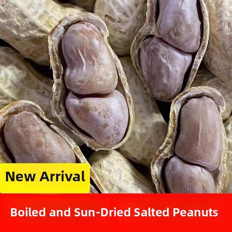 【2025新品】带壳龙岩花生蒜蓉花生水煮花生白晒干网红特价零食