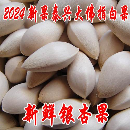 包邮2024年新鲜大颗带壳白果银杏果无漂白泰兴白果生白果