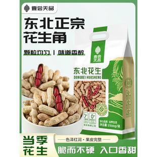 东北红皮花生2025年农家新鲜不带壳原味晒干四粒红花生米生熟可选