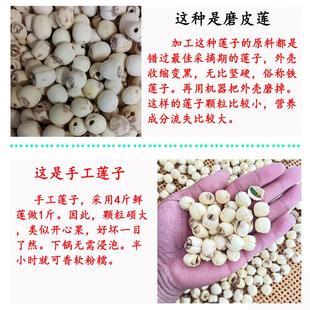 白莲肉广昌莲子百合干货特产手工新鲜无硫带心有芯干莲子去芯归心