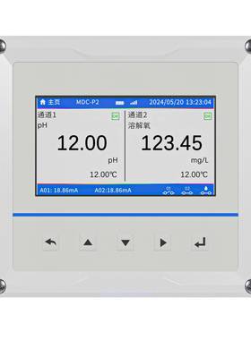 RXB20000系列双通道水质分析仪支持4-20mA/RS485输出高清显示