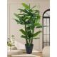 饰客厅大型 豪华植物景观室内装 模拟绿色植物摇钱树优雅 可接近