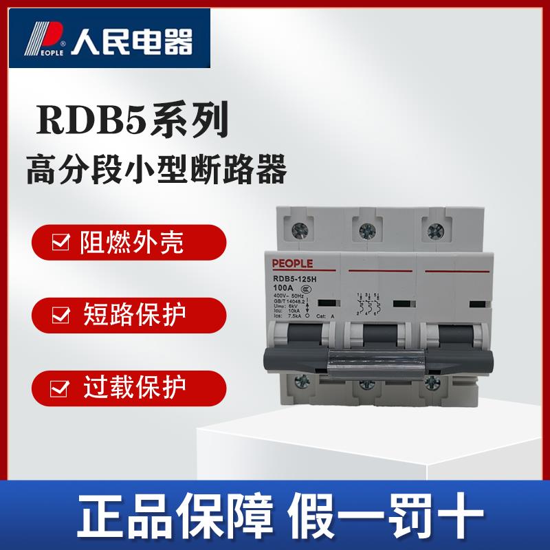 人民电器RDB5高分断空气开 关100A125A家用工业配电220V/380V