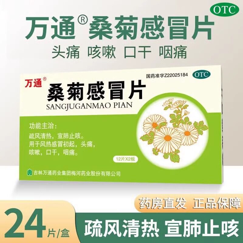 万通桑菊感冒片24片老牌子桑菊感冒片疏风清热宣肺止咳正品旗舰店