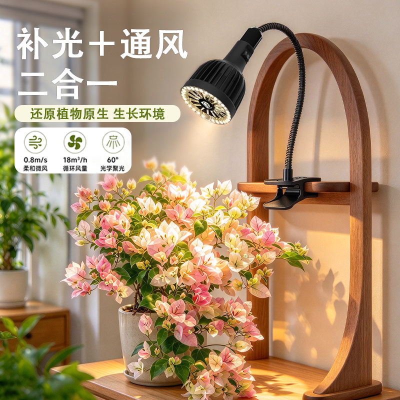 多彤E27夹子灯带通风龙舌兰专用
