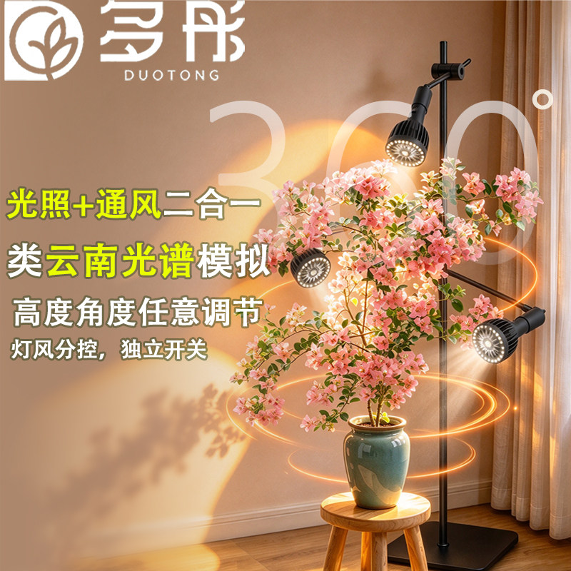 多彤室内热植墙龟背竹花卉补光灯