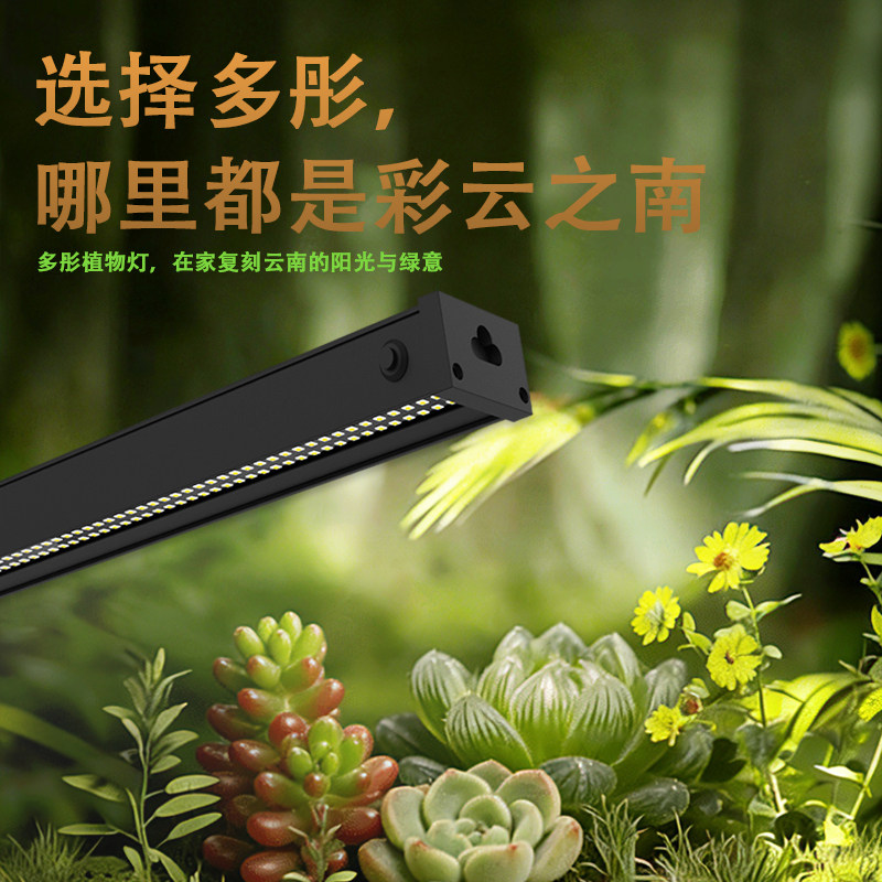 多彤植物补光类云南仿太阳全光谱