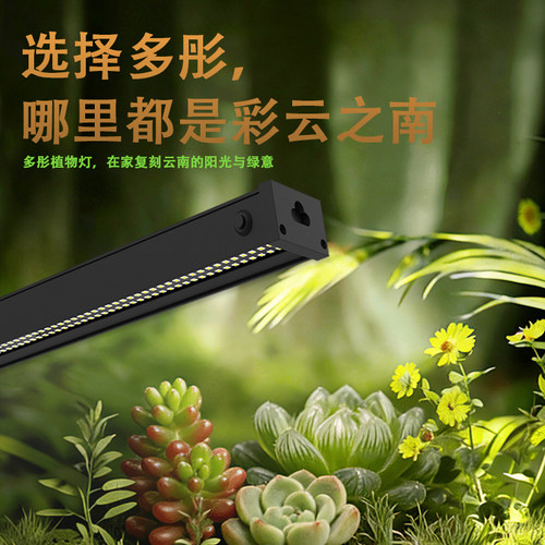 多彤植物补光类云南仿太阳全光谱