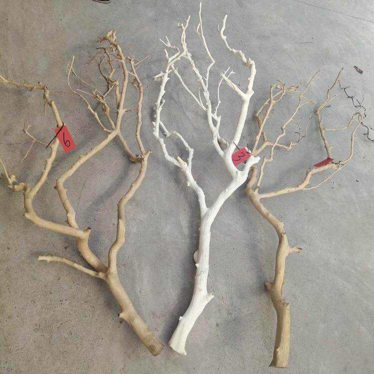干树枝去皮原木树杆枯树枝带杈分支树杈室内天花板挂灯橘子树枝