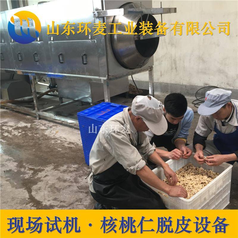 现场验机核桃仁去皮机休闲风味核桃仁脱皮机提供工艺指导