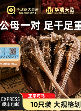 华瑞天丞三斑海马干货一公一母配对正品膨腹海马男士泡酒煲汤料