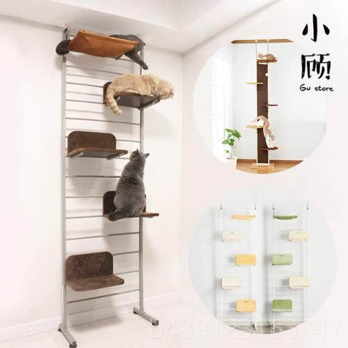正品顶日本IVPET转爱蓓诗天S立地旋式猫爬架室内猫猫楼梯窝猫跳台