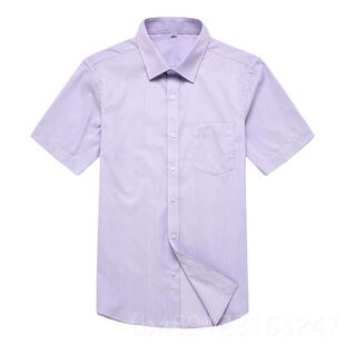 正品新款光大色银行男士长袖紫衬衫细条纹短衬衣光大工作服行服工