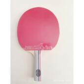 正品 板1只初J学组合球 锐科特D200A全面型乓球拍5层纯木乒底