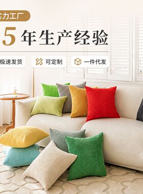 双面直条灯芯绒抱枕套沙发靠枕装饰枕套靠垫抱枕套枕头套跨境现货