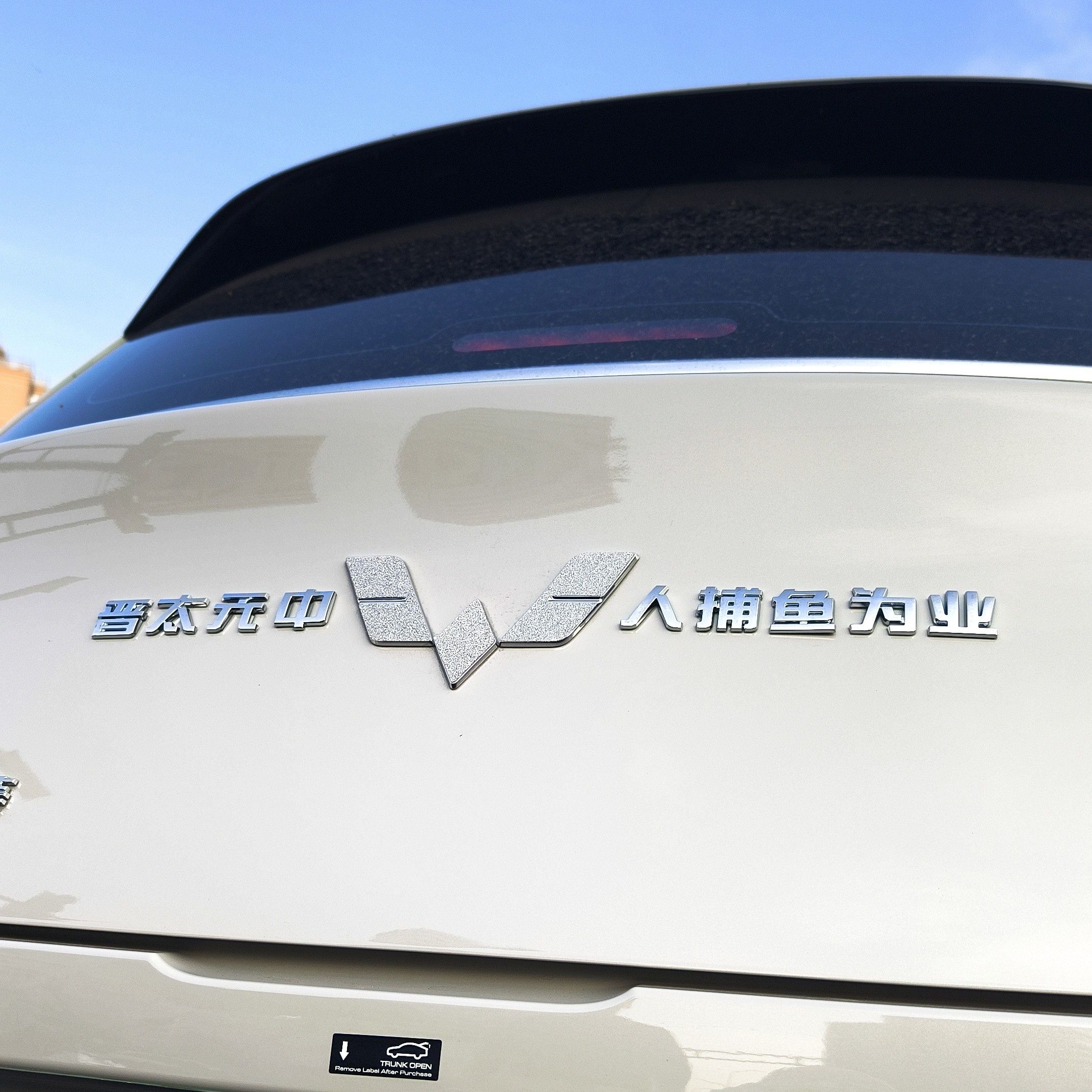 上汽通用五菱人捕鱼为业汽车贴原车材质3D立体搞笑文字改装车标贴