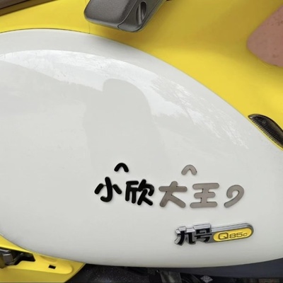 9号电动电瓶车定制文字车标贴