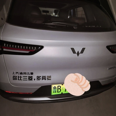 五菱你比三菱多两菱汽车车标贴