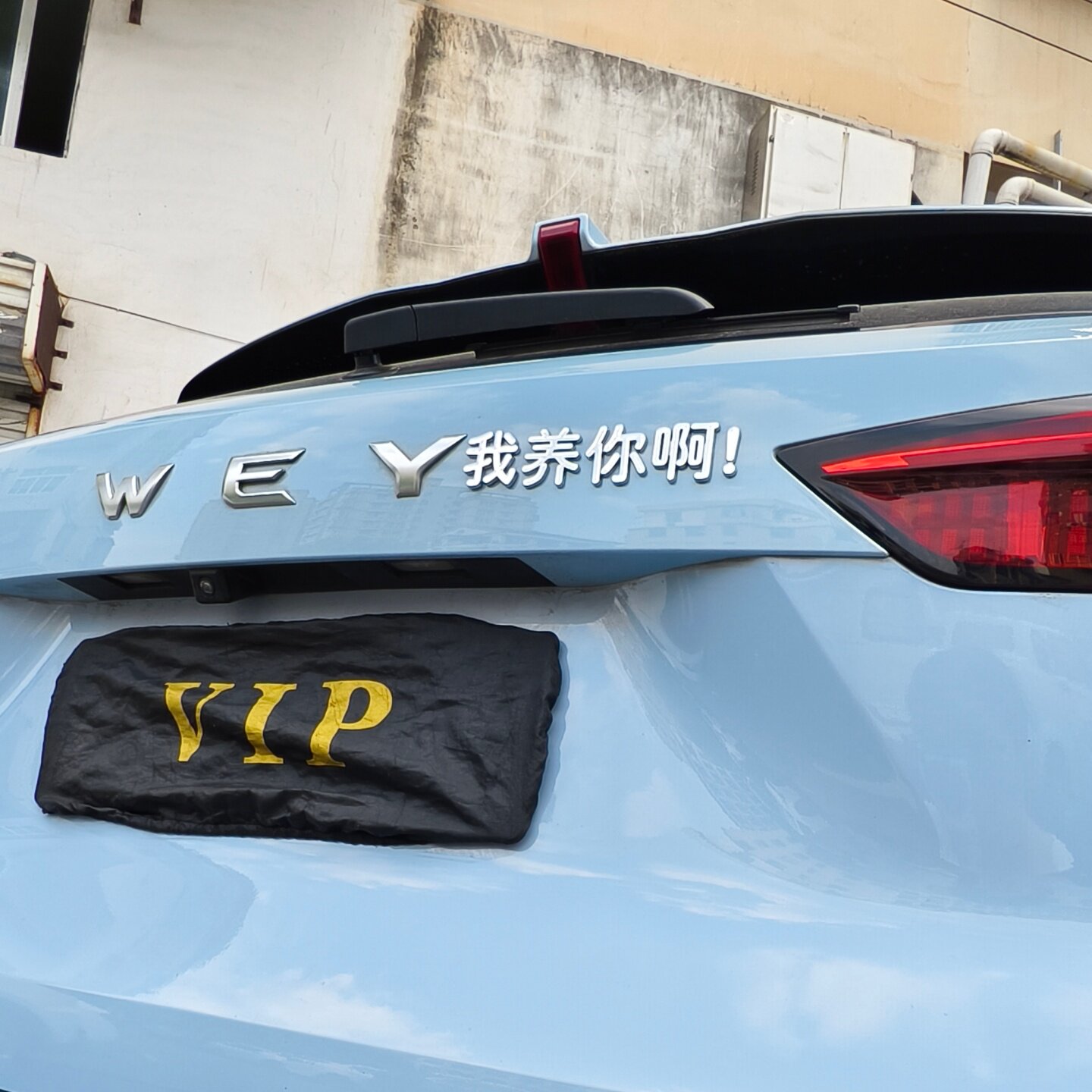 WEY我养你啊魏牌汽车标贴3D立体