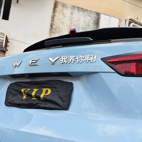 WEY我养你啊魏牌汽车标贴3D立体
