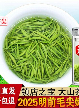 东霖堂信阳毛尖2025新茶明前特级嫩芽茶叶绿茶散装高山手工茶250g