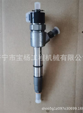 0445110791共轨喷油器0445110792 0433172539喷油嘴总成