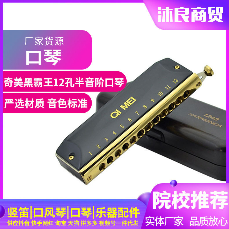 批发奇美黑霸王12孔半音阶口琴1664 1248口琴成人初学者演奏乐器