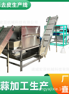 空气压力大蒜脱皮产业链 不锈钢大蒜脱皮机 链条式大蒜脱皮机