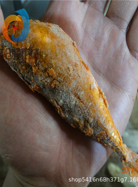 全自动小焦鱼油炸设备 海产品电炸锅 自动上料出料地趴鱼油炸机器