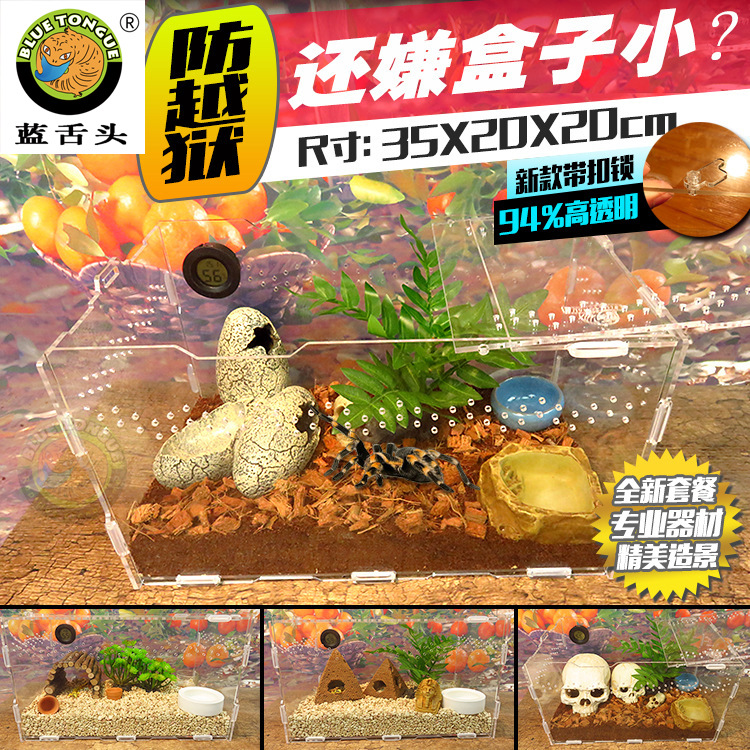 爬虫红火玫瑰蜘蛛亚克力饲养箱盒雨林蝎守宫蜈蚣宠物玉米蛇352020