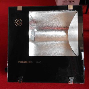 三防泛光灯 FAT 250W 方形 方形隧道灯防水防尘道路灯. L250W