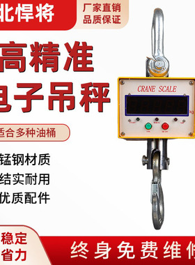 源头厂家 耐撞钢壳电子吊秤 5T高精度数显吊秤 规格齐全3 5 10吨