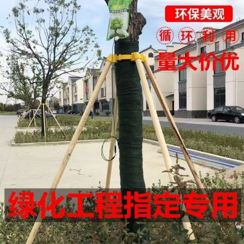 杨木支撑固定器支撑架杆杉木松木杨木棍园林绿化防风防倒稳定树木