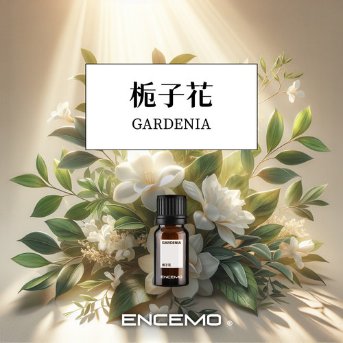 ENCEMO栀子花香薰精油