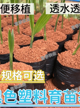 营养杯咖啡槟榔育苗袋百香果树苗瓜果黑色塑料育苗袋营养袋种植袋