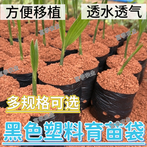 营养杯咖啡槟榔育苗袋百香果树苗瓜果黑色塑料育苗袋营养袋种植袋