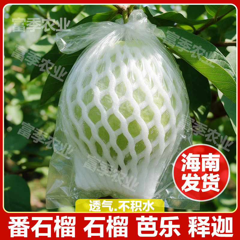 番石榴套袋网袋芭乐杨桃专用套袋水果防虫袋果袋套袋石榴袋子网套