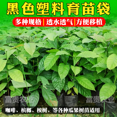 育苗袋育苗杯咖啡槟榔黑色塑料育苗袋一次性桉树种植袋树苗营养袋