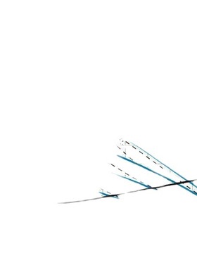 Plastic diaphragm pump  S05B2P2TPBS000往复泵