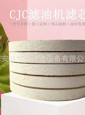 钢厂电厂过滤器A38/60滤油机液压滤芯PA5600302结构紧实精密