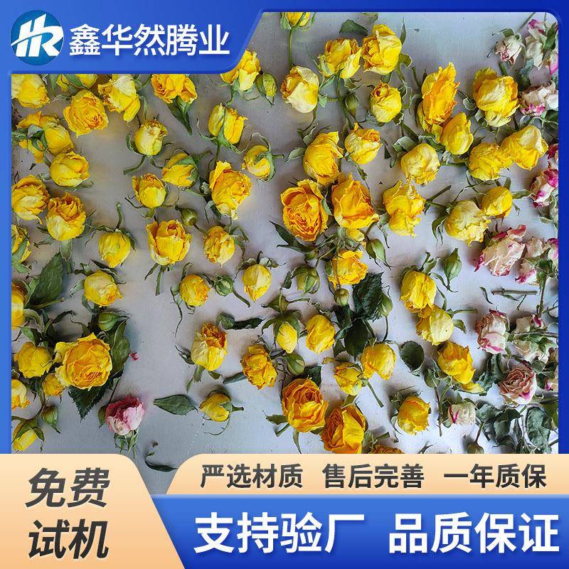墨红玫瑰花冷冻干燥设备全自动茉莉花茶桂花蜜真空冷冻干燥机