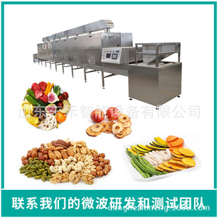 全自动微波烘干设备隧道式黄明胶烘干设备材烘干流水线