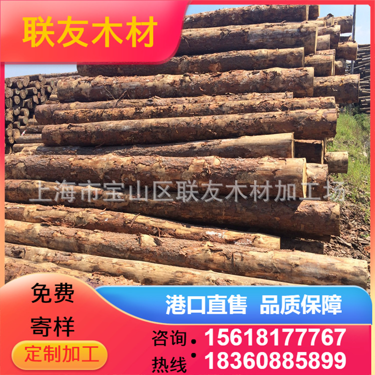 大量批发樟子松  落叶松原木  白松原木 松木桩 码头供应